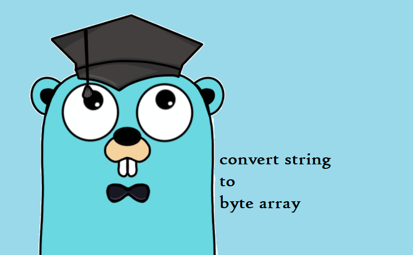 go assign byte array