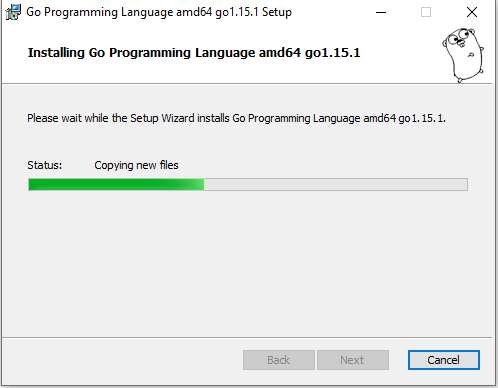 Go Installation Process